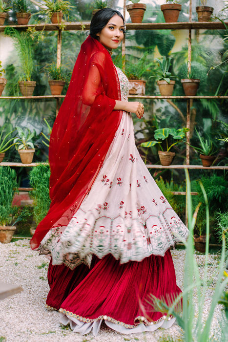 Seraphic Cream Lehenga Choli Red Blouse In Chikankari INSPMAY224 –  ShreeFashionWear